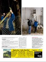 dagbladet_fredag-20081121_000_00_00_015.pdf