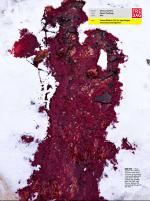 dagbladet_fredag-20081219_000_00_00_007.pdf