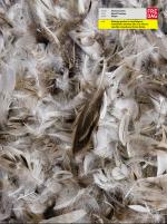 dagbladet_fredag-20090130_000_00_00_007.pdf