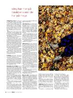 dagbladet_fredag-20091127_000_00_00_030.pdf