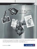 dagbladet_fredag-20100219_000_00_00_034.pdf