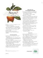 dagbladet_fredag-20100416_000_00_00_036.pdf