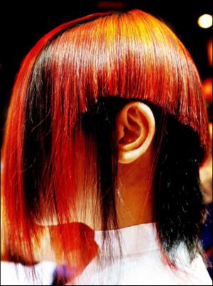 dagbladet_fredag-20101119_000_00_00_029.pdf