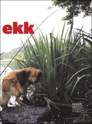 dagbladet_fredag-20110715_000_00_00_025.pdf