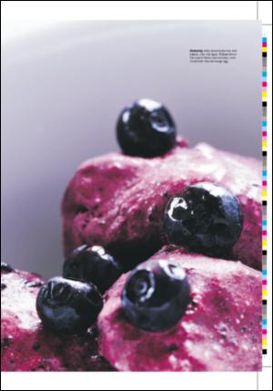 dagbladet_magasinet-20060513_000_00_00_073.pdf