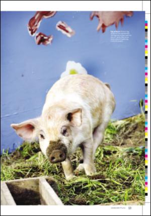 dagbladet_magasinet-20060708_000_00_00_053.pdf