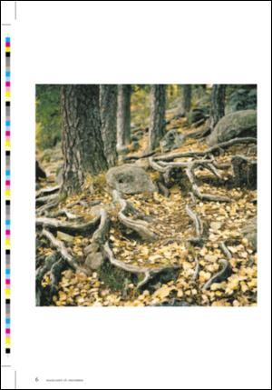dagbladet_magasinet-20061118_000_00_00_006.pdf