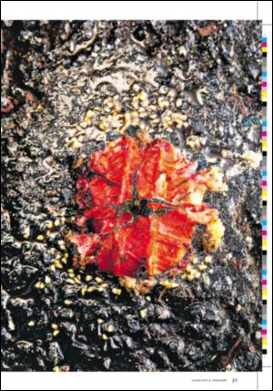 dagbladet_magasinet-20061209_000_00_00_051.pdf