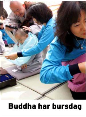 dagbladet_magasinet-20070519_000_00_00_012.pdf