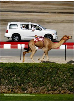 dagbladet_magasinet-20070519_000_00_00_031.pdf