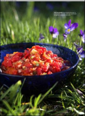 dagbladet_magasinet-20070609_000_00_00_079.pdf