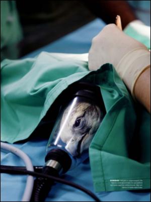 dagbladet_magasinet-20070721_000_00_00_026.pdf