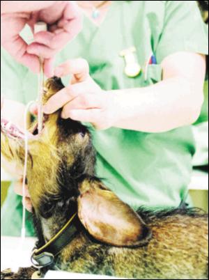 dagbladet_magasinet-20070804_000_00_00_025.pdf