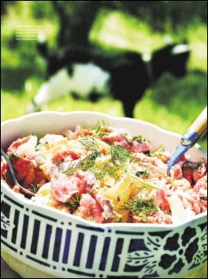 dagbladet_magasinet-20070804_000_00_00_049.pdf