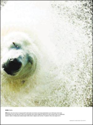 dagbladet_magasinet-20070811_000_00_00_011.pdf