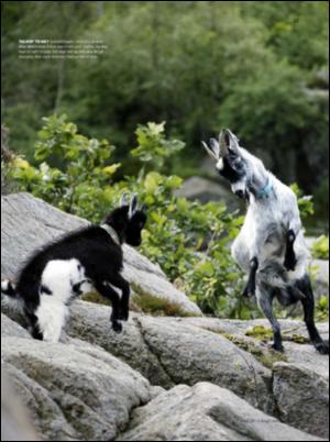 dagbladet_magasinet-20070818_000_00_00_057.pdf