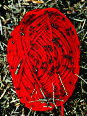 dagbladet_magasinet-20070915_000_00_00_060.pdf