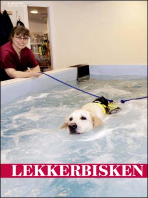 dagbladet_magasinet-20071020_000_00_00_032.pdf
