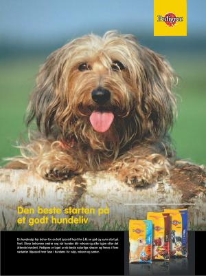 dagbladet_magasinet-20071110_000_00_00_010.pdf