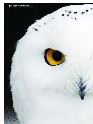 dagbladet_magasinet-20071110_000_00_00_012.pdf