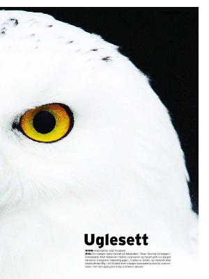 dagbladet_magasinet-20071110_000_00_00_013.pdf