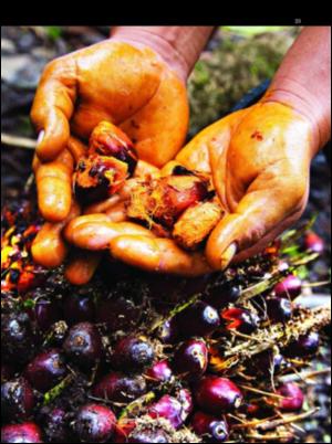 dagbladet_magasinet-20071201_000_00_00_023.pdf