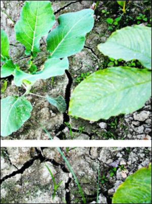 dagbladet_magasinet-20071208_000_00_00_023.pdf