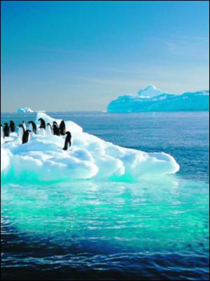 dagbladet_magasinet-20080112_000_00_00_009.pdf