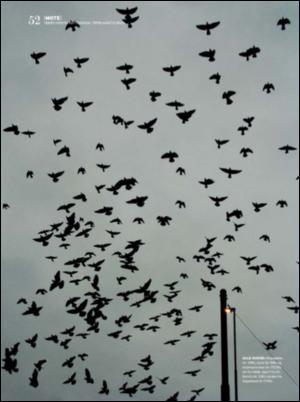 dagbladet_magasinet-20080126_000_00_00_052.pdf