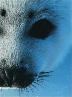 dagbladet_magasinet-20080329_000_00_00_013.pdf