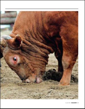 dagbladet_magasinet-20080419_000_00_00_009.pdf