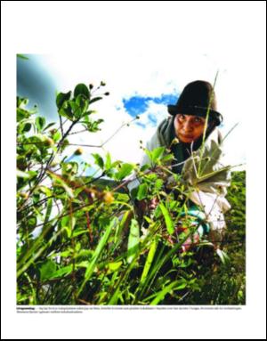 dagbladet_magasinet-20080607_000_00_00_021.pdf