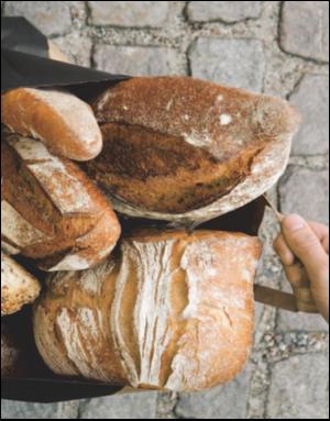 dagbladet_magasinet-20080607_000_00_00_081.pdf