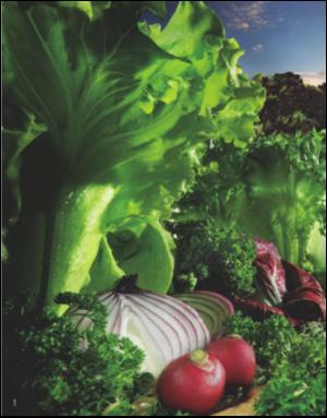 dagbladet_magasinet-20080628_000_00_00_006.pdf