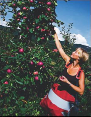 dagbladet_magasinet-20080927_000_00_00_080.pdf