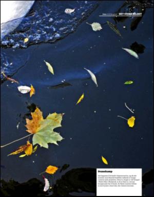 dagbladet_magasinet-20081018_000_00_00_011.pdf
