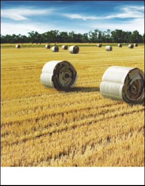 dagbladet_magasinet-20090110_000_00_00_036.pdf