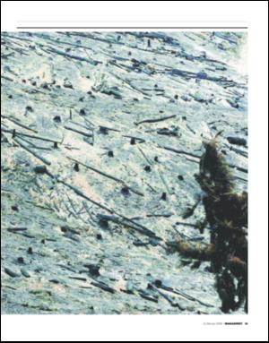 dagbladet_magasinet-20090214_000_00_00_015.pdf