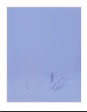 dagbladet_magasinet-20090411_000_00_00_016.pdf