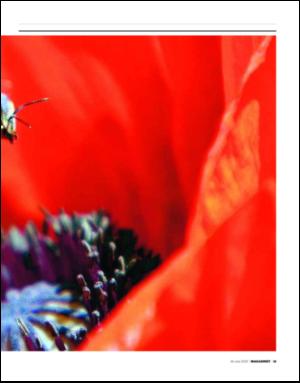 dagbladet_magasinet-20090530_000_00_00_013.pdf