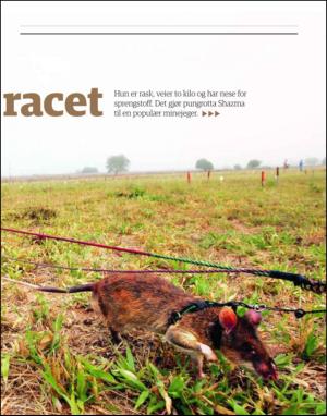 dagbladet_magasinet-20090627_000_00_00_043.pdf