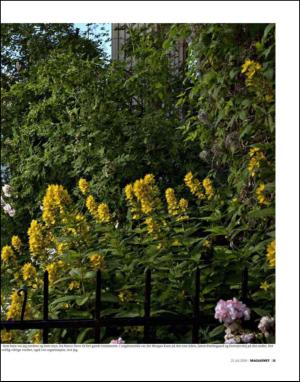 dagbladet_magasinet-20090725_000_00_00_013.pdf