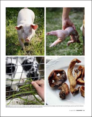 dagbladet_magasinet-20090815_000_00_00_063.pdf