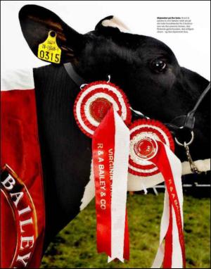 dagbladet_magasinet-20090919_000_00_00_057.pdf