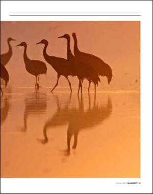 dagbladet_magasinet-20091003_000_00_00_013.pdf