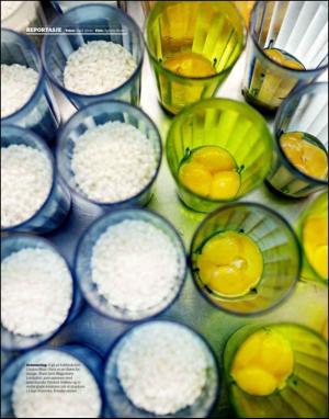 dagbladet_magasinet-20091017_000_00_00_036.pdf