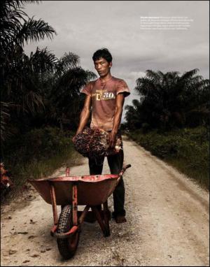 dagbladet_magasinet-20091205_000_00_00_023.pdf