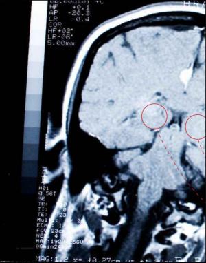 dagbladet_magasinet-20091212_000_00_00_024.pdf