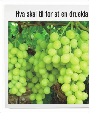 dagbladet_magasinet-20100206_000_00_00_008.pdf