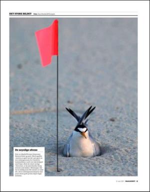 dagbladet_magasinet-20100515_000_00_00_011.pdf